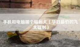 手机和电脑哪个辐射大（孕妇最怕的九大辐射）