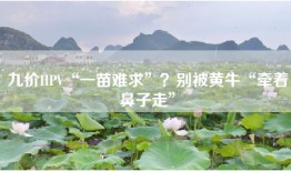 九价HPV“一苗难求”？别被黄牛“牵着鼻子走”