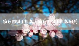 疯石围棋手机版（疯石围棋手机版2017）