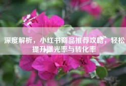 深度解析，小红书商品推荐攻略，轻松提升曝光率与转化率