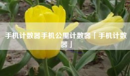 手机计数器手机公里计数器「手机计数器」