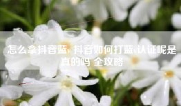怎么拿抖音蓝v 抖音如何打蓝v认证呢是真的吗 全攻略