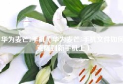 华为麦芒5手机（华为麦芒5手机文件如何克隆到新手机上）