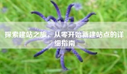 探索建站之旅，从零开始新建站点的详细指南