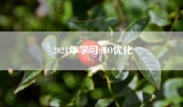 2021年学习SEO优化