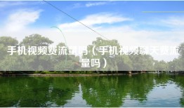 手机视频费流量吗（手机视频聊天费流量吗）