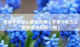 苹果手机怎么截取视频（苹果手机怎么截取视频的某一帧）