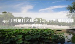 oppo手机是什么牌子（oppo手机是什么牌子手机）