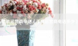 手机运营商电话（手机运营商电话多少）