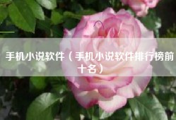 手机小说软件（手机小说软件排行榜前十名）