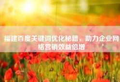 福建百度关键词优化秘籍，助力企业网络营销效益倍增