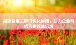 福建百度关键词优化秘籍，助力企业网络营销效益倍增