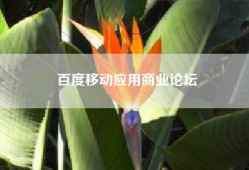 百度移动应用商业论坛