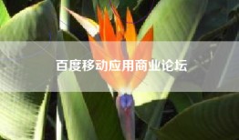 百度移动应用商业论坛