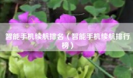 智能手机续航排名（智能手机续航排行榜）