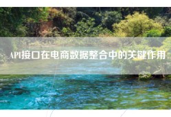 API接口在电商数据整合中的关键作用
