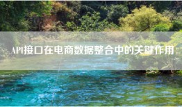 API接口在电商数据整合中的关键作用
