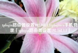tplogin路由器设置192.168.1.1tplogincn手机登录「tplogin路由器设置192.168.1.1」