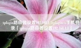 tplogin路由器设置192.168.1.1tplogincn手机登录「tplogin路由器设置192.168.1.1」