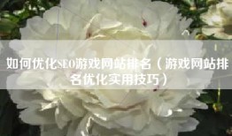 如何优化SEO游戏网站排名（游戏网站排名优化实用技巧）