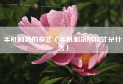手机邮箱的格式（手机邮箱的格式是什么）
