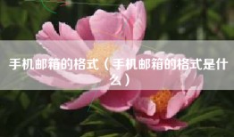 手机邮箱的格式（手机邮箱的格式是什么）