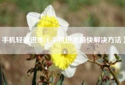 手机轻微进水（手机进水最快解决方法）