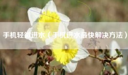手机轻微进水（手机进水最快解决方法）