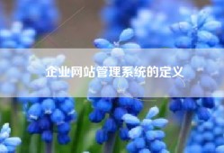 企业网站管理系统的定义