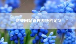 企业网站管理系统的定义