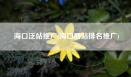 海口泛站推广(海口网站排名推广)