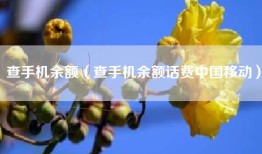 查手机余额（查手机余额话费中国移动）