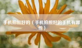 手机拍照好的（手机拍照好的手机有哪些）
