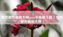 罪恶都市模组大师gtasa手机版下载「罪恶都市模组大师」