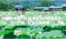 网络营销推广运营(最全的网络运营推广方案，赶快点赞收藏)