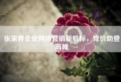 张家界企业网络营销新航标，竞价助登高峰