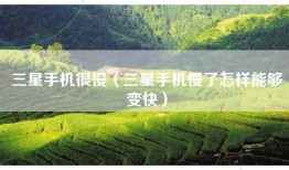 三星手机很慢（三星手机慢了怎样能够变快）