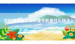 宝时捷手机（宝时捷手机是什么样子）
