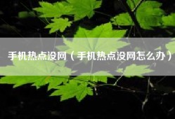 手机热点没网（手机热点没网怎么办）