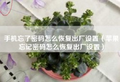 手机忘了密码怎么恢复出厂设置（苹果忘记密码怎么恢复出厂设置）