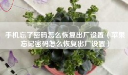 手机忘了密码怎么恢复出厂设置（苹果忘记密码怎么恢复出厂设置）