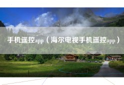 手机遥控app（海尔电视手机遥控app）
