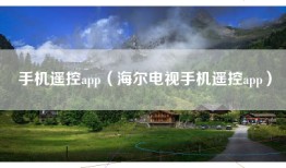 手机遥控app（海尔电视手机遥控app）