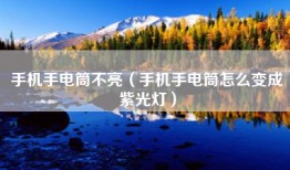手机手电筒不亮（手机手电筒怎么变成紫光灯）