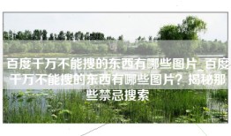 百度千万不能搜的东西有哪些图片_百度千万不能搜的东西有哪些图片？揭秘那些禁忌搜索