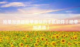 抢单加速器抢单最快的手机软件「抢单加速器」