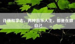 许巍和李志，两种音乐人生，都是在做自己