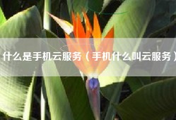 什么是手机云服务（手机什么叫云服务）
