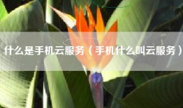 什么是手机云服务（手机什么叫云服务）
