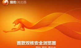 猎豹安全浏览器  官方最新版v9.0.112.22581猎豹浏览器手机版「猎豹安全浏览器  官方最新版v9.0.112.22581」